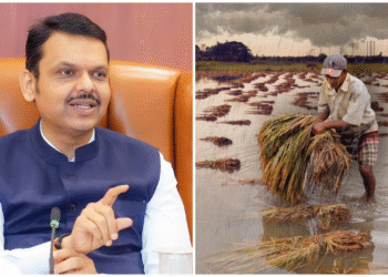 ओला दुष्काळाच्या सर्व सवलती लागू; मुख्यमंत्री देवेंद्र फडणवीस यांची घोषणा