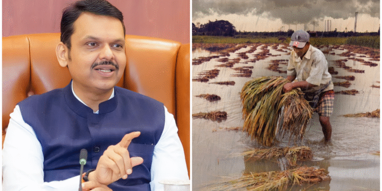 ओला दुष्काळाच्या सर्व सवलती लागू; मुख्यमंत्री देवेंद्र फडणवीस यांची घोषणा