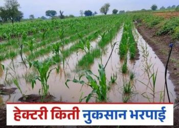 नुकसानग्रस्त शेतकऱ्यांना 2 हेक्टरीचं मिळणार मदत, ही मदत शेतकऱ्यांना मान्य नाही..