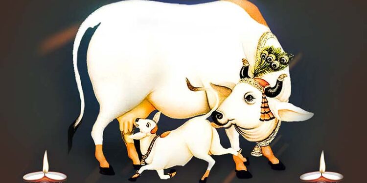 आज वसुबारस; लक्ष-लक्ष दिव्यांनी सोलापूर उजळणार