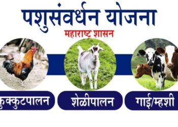 पशुसंवर्धन विभागाच्या वैयक्तिक लाभ योजनांसाठी अर्ज करण्याचे आवाहन