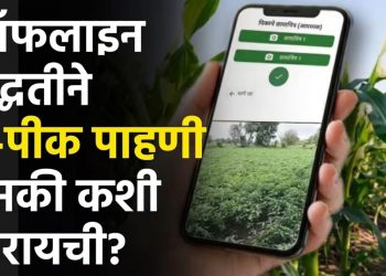 शेतकऱ्यांना दिलासा ई पीक पाहणी न झालेल्या ची होणार ऑफलाईन नोंद