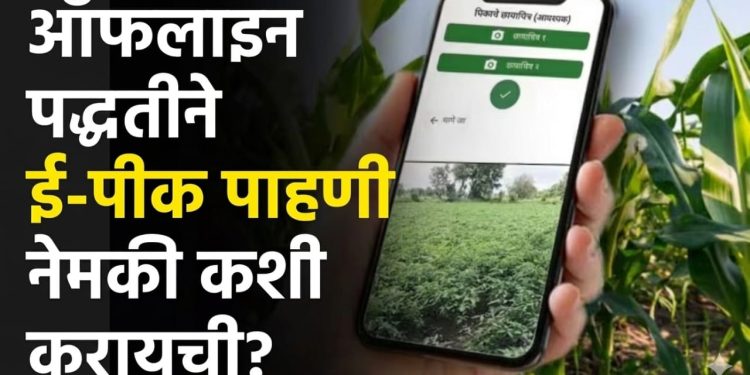 शेतकऱ्यांना दिलासा ई पीक पाहणी न झालेल्या ची होणार ऑफलाईन नोंद