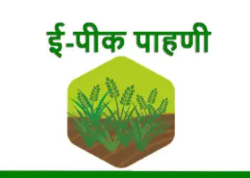 ई-पीक पाहणीतून सुटलेल्या शेतकऱ्यांसाठी ‘ऑफलाईन’चा पर्याय