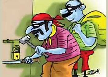 गड्डा यात्रेत चोरट्यांनी रोख रखमेसह ४२ हजारांचा मुद्देमाल केला लंपास..