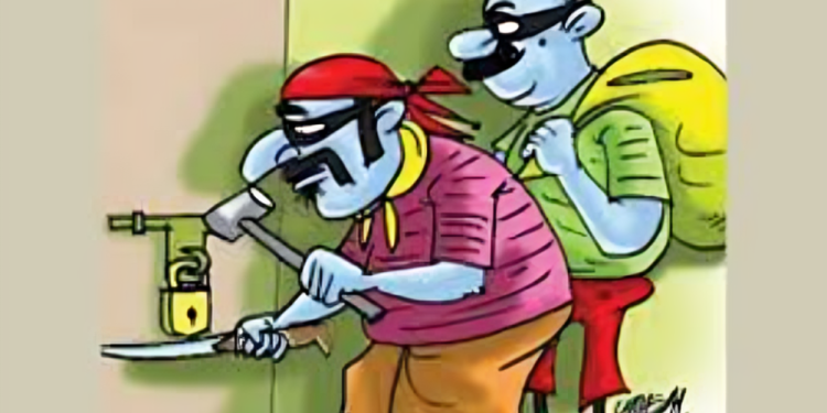 गड्डा यात्रेत चोरट्यांनी रोख रखमेसह ४२ हजारांचा मुद्देमाल केला लंपास..