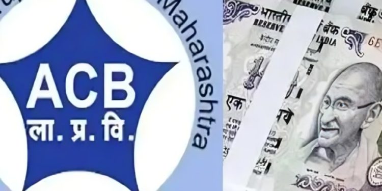 सोलर सिस्टीम मंजुरीसाठी तीन हजारची लाच घेताना अमित रेडेकर एसीबीच्या जाळ्यात