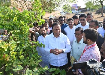 मंत्री आशिष शेलार यांच्याकडून पडसाळीतील द्राक्ष बागांच्या नुकसानीची पाहणी