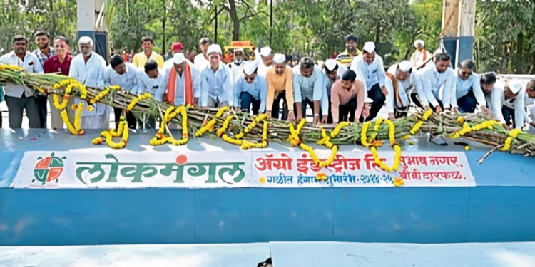 भंडारकवठे लोकमंगल साखर कारखान्याकडून शेतकऱ्यांची अडवणूक; सहा महिने उलटले तरी ऊस बिले मिळेना!