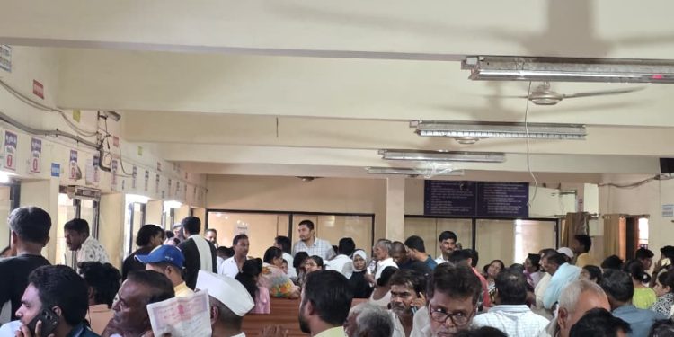 एकीकडे विद्यार्थ्यांची ऍडमिशनची घाई दुसरीकडे शासनाच्या सर्वरची दिरंगाई..