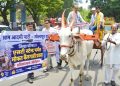 महागाईविरोधात ‘आप’चे बैलगाडी आंदोलन