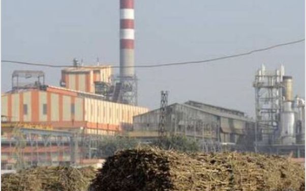 शेतकऱ्यांच्या घामाच्या पैशांवर कारखान्यांचा डल्ला; २४६ कोटींची एफआरपी थकली, प्रशासनाचा कारवाईचा इशारा!
