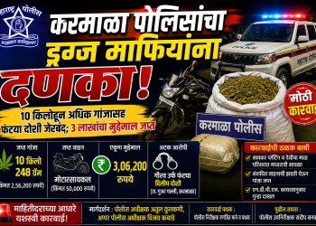 करमाळा पोलिसांचा ड्रग्ज माफियांना दणका!