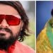 सरवदे हत्याकांड : भाजप नगरसेविका शालन शिंदे यांना उच्च न्यायालयाकडून जामीन