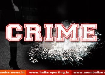 ‘आमदाराला गोळी घाल’ म्हणत चालकाला पैशांची ऑफर; सोलापुरात खळबळ