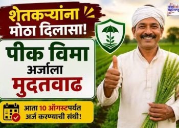 पीक विम्यास १० ऑगस्टपर्यंत मुदतवाढ; शेतकऱ्यांना मोठा दिलासा