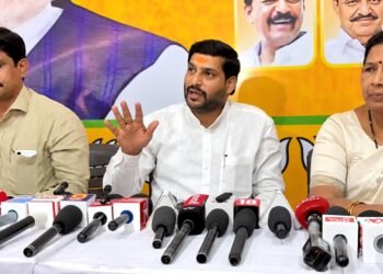 प्रणिती शिंदे योगायोगाने खासदार झाले ; गटनेते नरेंद्र काळे…!
