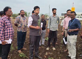दुष्काळाचा ‘ग्राऊंड रिपोर्ट’; जिल्हाधिकारी शेतकऱ्यांच्या थेट बांधावर