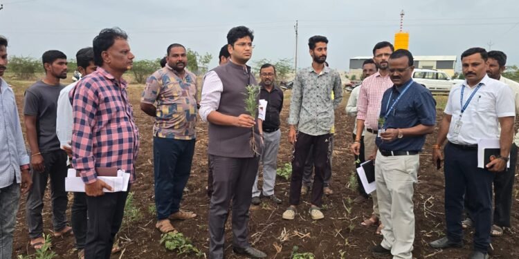 दुष्काळाचा ‘ग्राऊंड रिपोर्ट’; जिल्हाधिकारी शेतकऱ्यांच्या थेट बांधावर