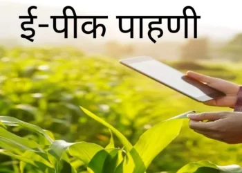 ‘पैसे द्या, अन्यथा पीक पाहणी विसरा ; अक्कलकोटच्या महसूल सेवकावर गुन्हा!