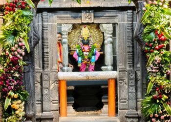 दसऱ्याला फुलांचा शाही थाट; विठुरायाचा दरबार झाला रंगीबेरंगी!